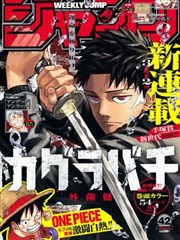 年下美人攻作品偏执收藏家封面